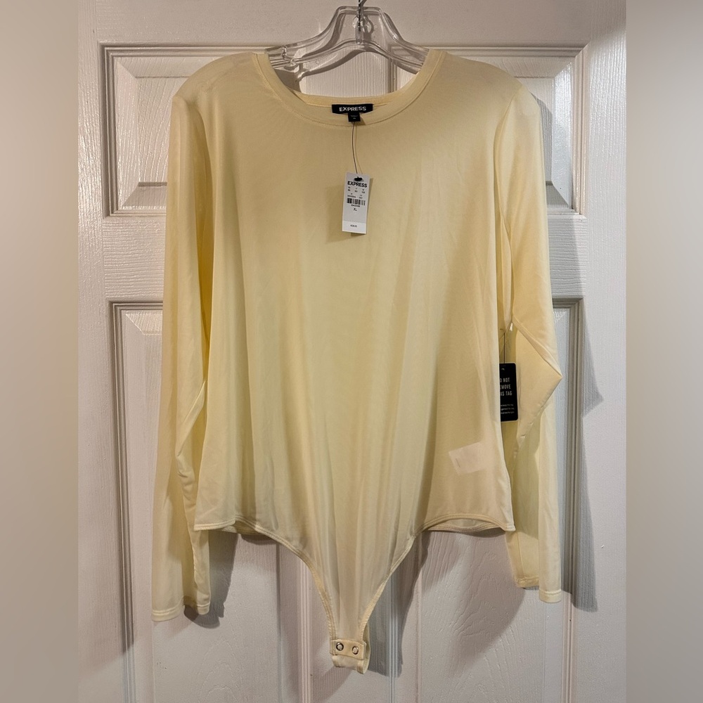 Express Sheer Long-sleeved Bodysuit
